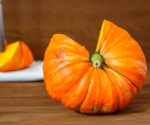 طرز تهیه کدو حلوایی