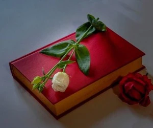 شعر کوتاه