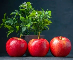 سبزه سیب برای عید