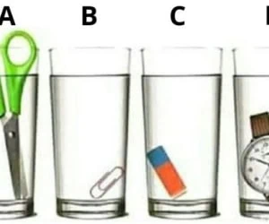 تست هوش