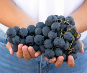 خواص انگور