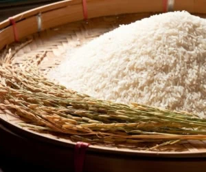 قیمت برنج