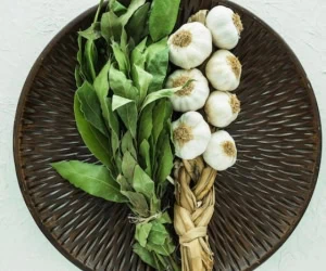 سبزی معطر شمالی