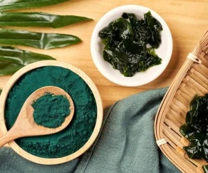 ماسک جلبک دریایی