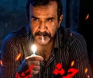 سریال حیثیت گم شده