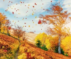 فواید پاییز