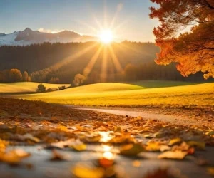 آفتاب پاییزی