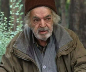 سریال چرخ گردون