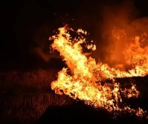 آتش سوزی بیمارستان گاندی