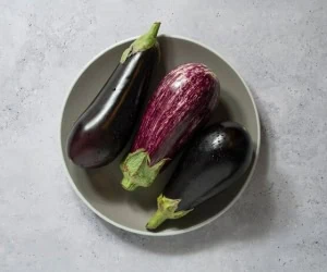 ترشی یک روزه