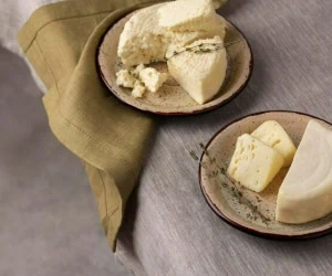 طرز تهیه پنیر خانگی