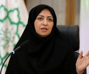 شینا انصاری