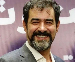 شهاب حسینی