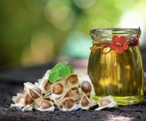 روغن مورینگا