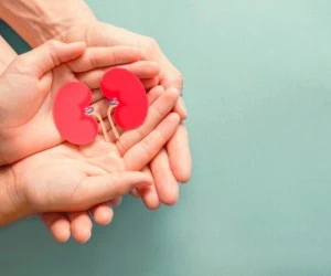 پیوند کلیه