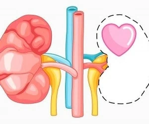 مراقبت از سلامت کلیه ها