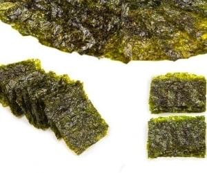 جلبک