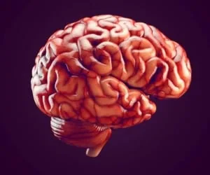 باز شدن رگها