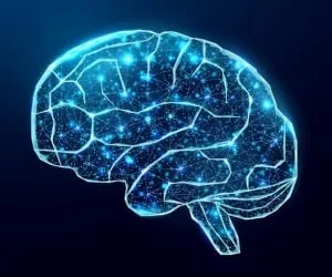 تناسب اندام مغز