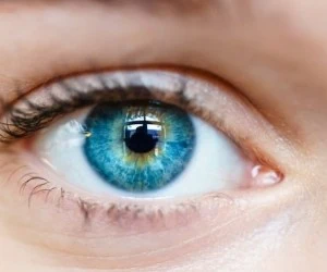  بخور نخور های تغذیه در تقویت چشم و بینایی + نکات مهم 