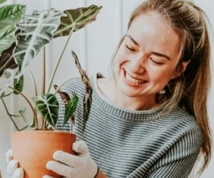 مراقبت از گیاهان در پاییز