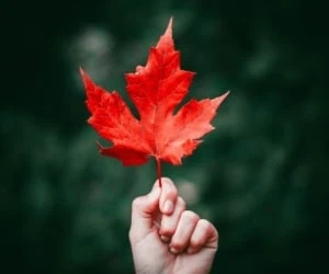 عکس نوشته پاییز