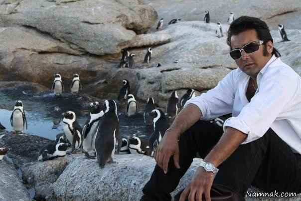 حسام نواب صفوی در کنار پنگوئن ها