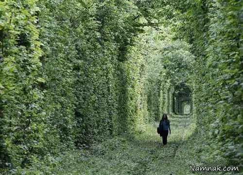 عاشقانه ترین جای دنیا + عکس!