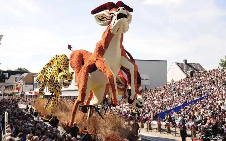 عکسهای نمایشگاه گل در هلند