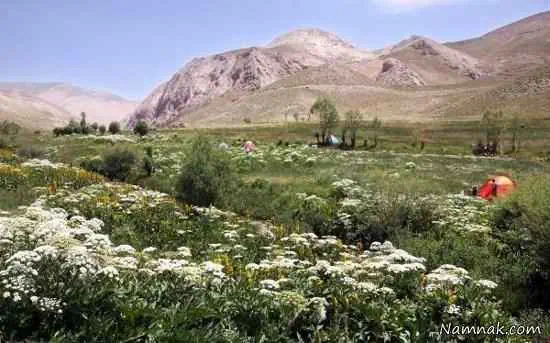 طبیعت تنگه واشی