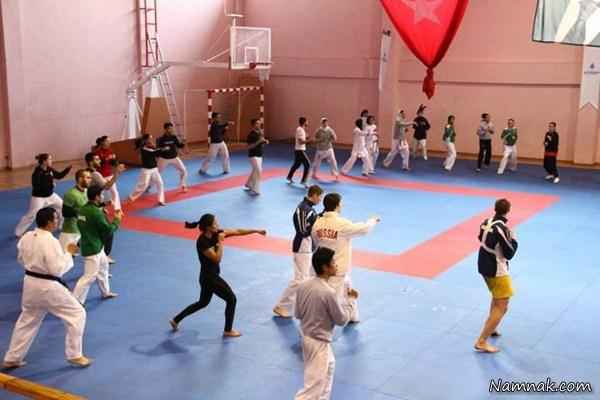 تیم ملی مختلط کاراته کاران ایران