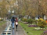 افزایش دمای هوا