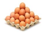 تعداد تخم مرغ
