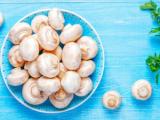 فریز قارچ