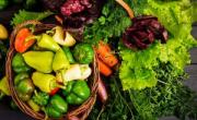 نیاز بدن به سبزیجات