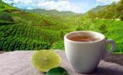 چای نعناع و علف لیمو