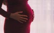 بارداری سلبریتی ها