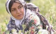 مریلا زارعی
