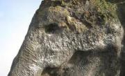 صخره های شبیه به حیوانات