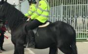 پلیس اسب سوار