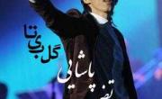 مرتضی پاشایی