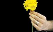 قوانین ازدواج مجدد