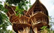خانه ساخته شده با بامبو