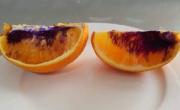 پرتقال عجیب بنفش