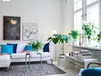 گیاهان در دکوراسیون