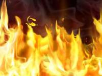 پناهجوی ایرانی