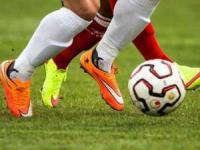 بازیکن لیگ برتر