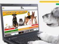 خرید و فروش حیوانات