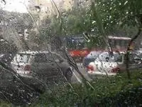 بارش باران