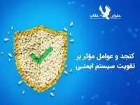 کنجد